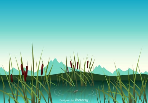 Swamp Vector Illustration