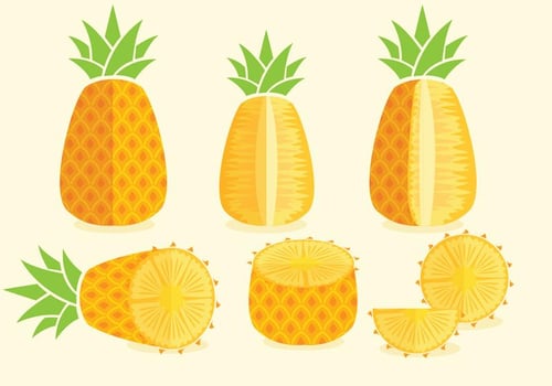 Ananas Vectors