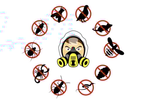 Free Pest Control Vector