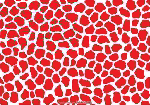 Red And White Giraffe Print vector