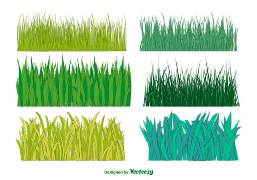 Big Green Grass Vector Collection