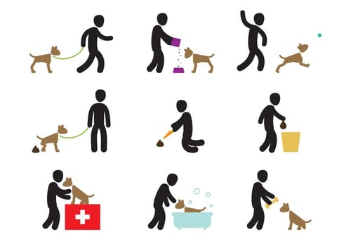Dog Care Actions vector