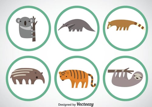Wild Animal Vector Sets
