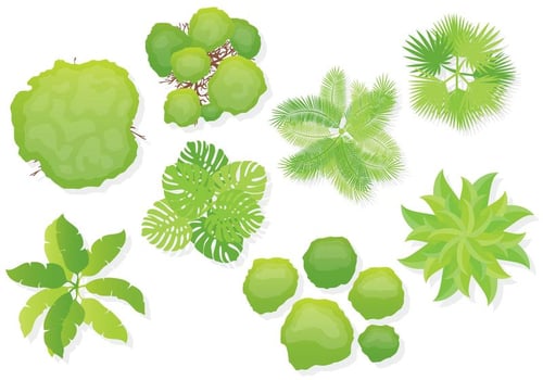 Vector Tree Tops 