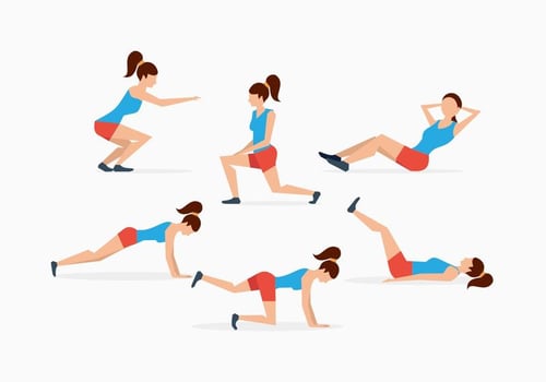 FREE EXERCISE VECTORS