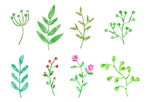 Watercolor Plants Vector