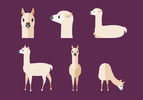 Vector Llama