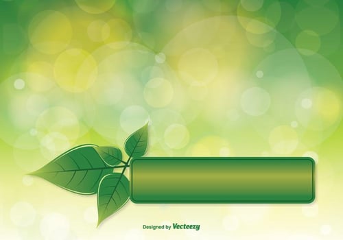 Beautiful Abstract Vector Background