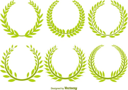 Olive Wreath Vector Set