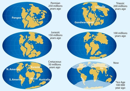 Continental Drift Vector Maps