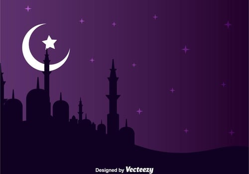 Arabian Night Landscape vector