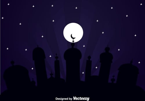 Big Mosque Arabian Night vector