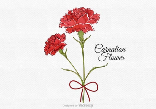 Free Vector Watercolor Carnation Flower