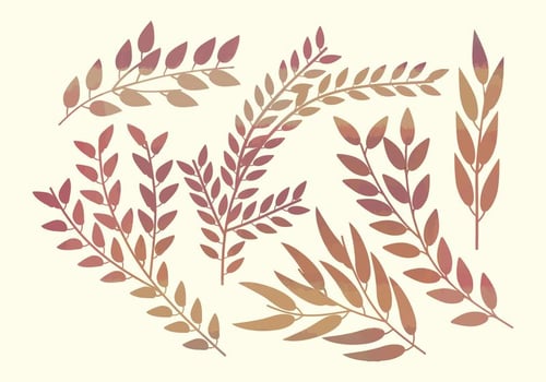 Watercolor Vector Branches