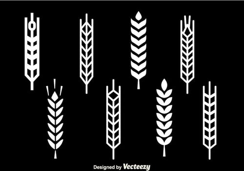 Wheat Stalk White Icons vector