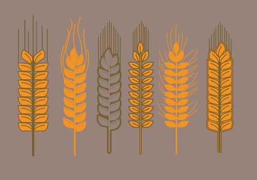 Wheat Stalk Vectors