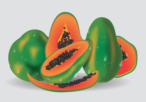 Fresh Fruit Vector