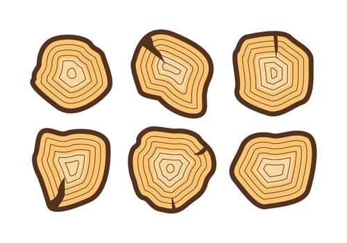 Free Tree Rings Vector Illustration 2