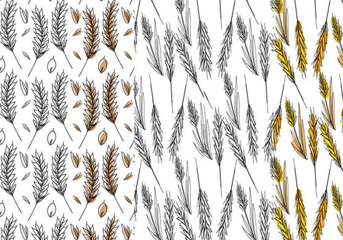 Wheat Stalk Pattern Set vector