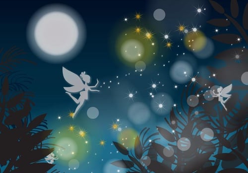 Night Fairy vector
