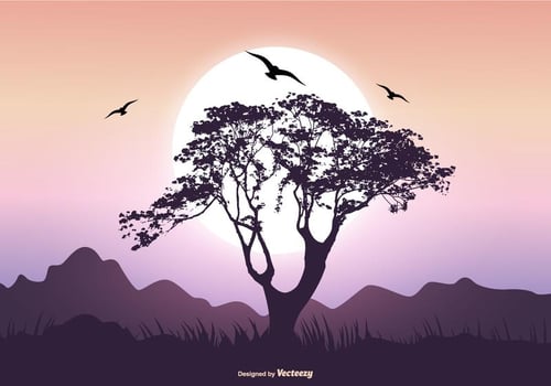 Landscape Scene with Baobab Tree vector