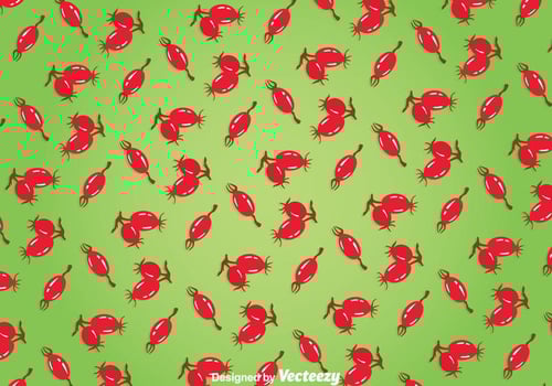 Rosehip Green Background vector