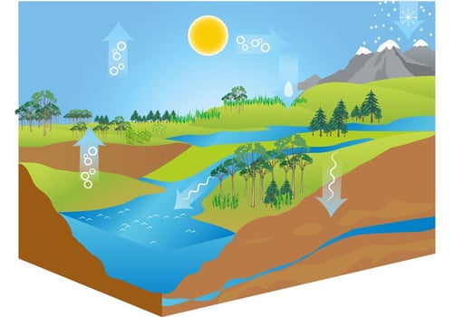 Free Water Cycle Diagram Vector