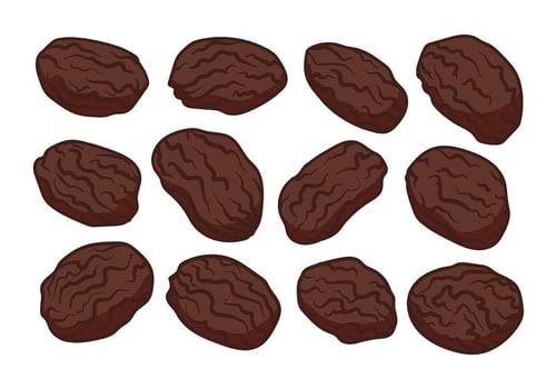 Free Raisins Vector