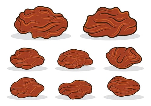 Raisins Icon Vector