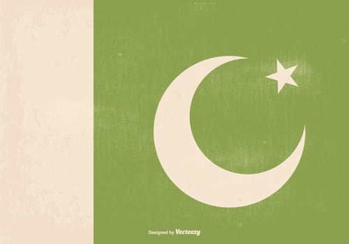 Awesome Retro Old Pakistan Flag vector