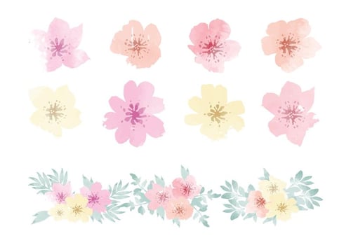 Vector Watercolor Hawaiian Flower Elements