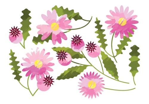 Vector Watercolor Daisy Flower Elements