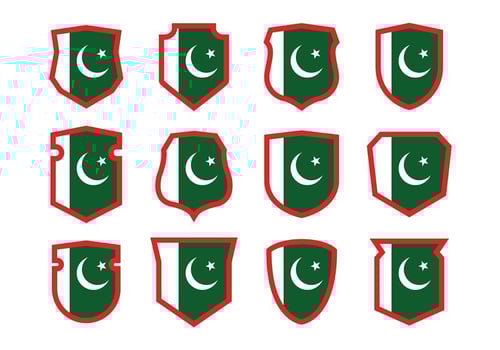 Pakistan Flag Vector