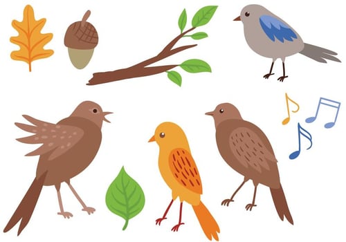 Free Singing Birds Vectors