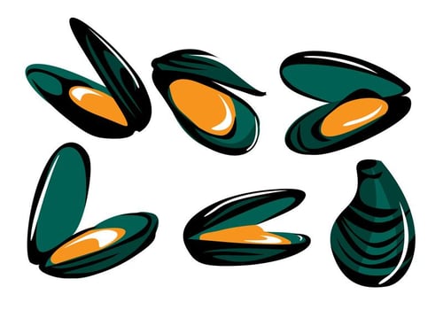 Mussel Vector