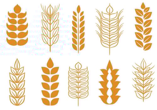 Free Wheat Stalk Vectors