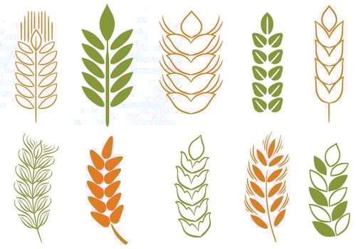 Free Wheat Stalk  2 Vectors