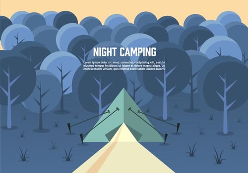Night Landscape Vector