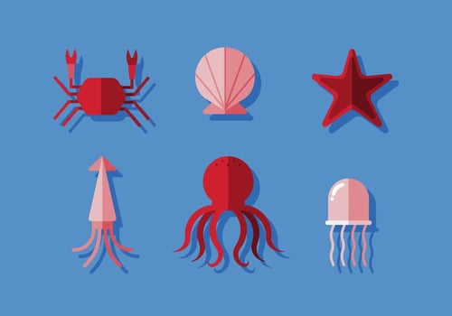 Vector Ocean Animals