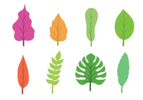 Hojas Icon Set vector