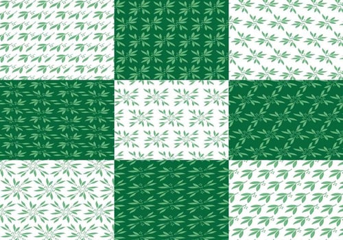 Eucalyptus Pattern vector