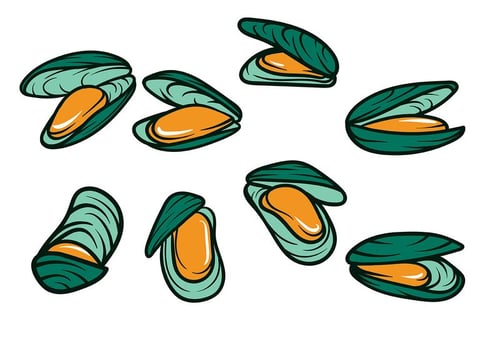 Mussel Vector Icon