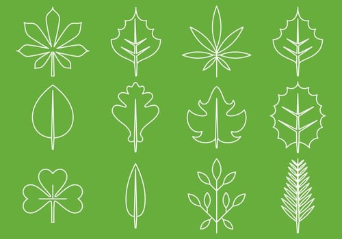 Leaves Line Icons vector