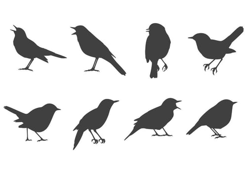 Free Nightingale Vectors