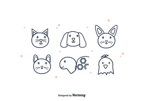 Pets Vector
