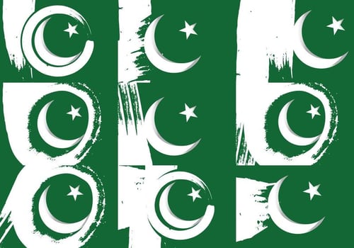 Pakistan Flag  vector