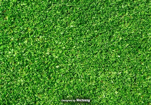 Lawn Nature - Green Grass Vector Background