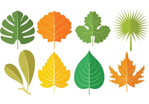 Free Hojas Icons Vectors