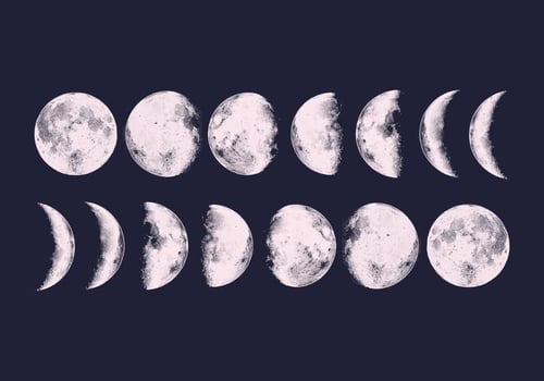 Vector Moon Phases