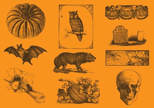 Halloween Drawings vector